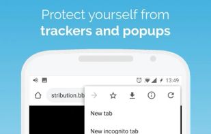 Kiwi Browser screenshot 1