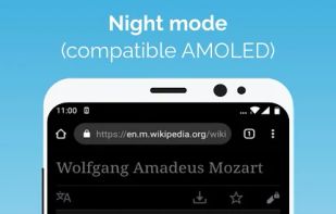 Kiwi Browser screenshot 2