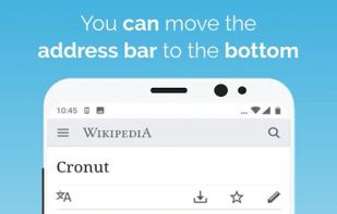 Kiwi Browser screenshot 3
