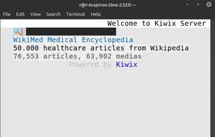 kiwix-serve screenshot 2