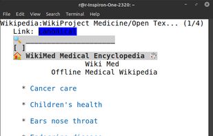 kiwix-serve screenshot 3