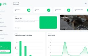 Analytics & Dashboard