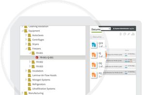 Manage validation by site, process or project with Workspaces