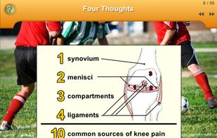 Knee Pain screenshot 1