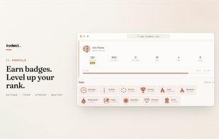 Public developer profile with badges and level.