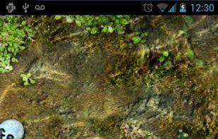 Koi Live Wallpaper screenshot 2