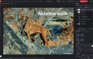 koi.photo screenshot 1