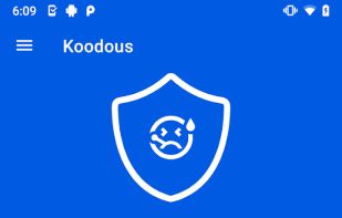 Koodous screenshot 3