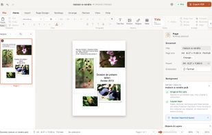 A Microsoft Publisher .pub file opened as an editable page, with the import health panel.