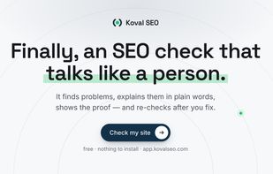 The SEO check that talks like a person: it finds problems, explains them in plain words, and shows the proof from your own pages.