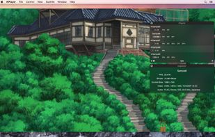 KPlayer screenshot 2