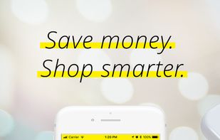 Krazy Coupon Lady screenshot 1