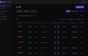 Server list with live status, resources, tags and pending security updates, grouped by environment.