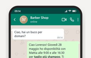 WhatsApp interaction with La Garzona