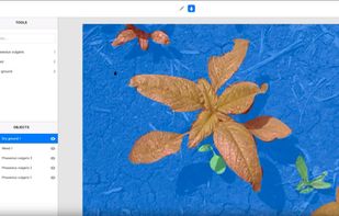 Label Box screenshot 3