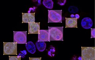 Label Studio screenshot 1