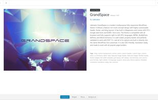 The screen of the theme overview after installing and activating it.