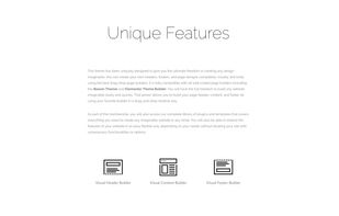 Shows how the PicoSpace theme supports page and theme builders.