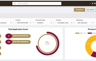 Visa Dashboard