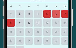 Lady Log screenshot 1