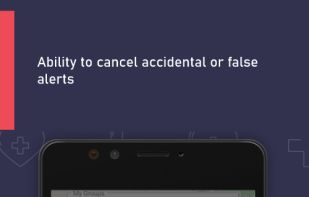 Lady Shield screenshot 2