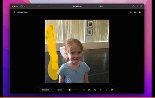 Lama Cleaner screenshot 1