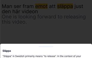 LangTurbo screenshot 1