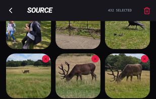 Gallery screen | Selected files