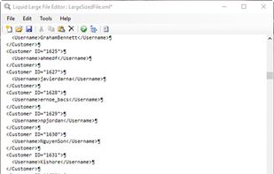 Large File Editor screenshot 1