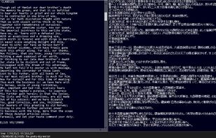 Large text viewer screenshot 1