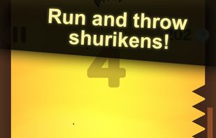 Last Ninja screenshot 3