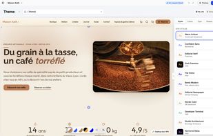50 complete styles: change typography, colours, shapes and effects in one click; the content stays put.