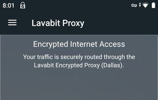 Lavabit Proxy screenshot 1