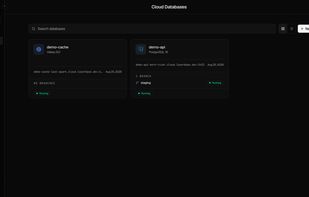 The databases dashboard with engines, branches, and connection hosts at a glance.
