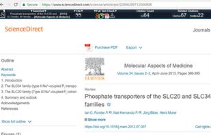 Lazy Scholar screenshot 1