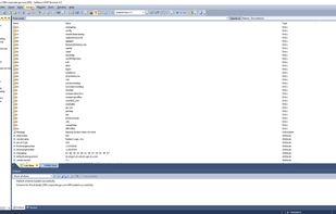 LDAP Browser screenshot 1