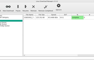 Linux Download Manager screenshot 1