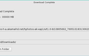 Linux Download Manager screenshot 2