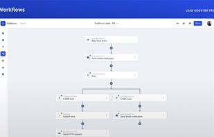 Automated lead workflows with conditional branching and integrations