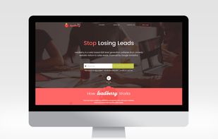 Leadberry screenshot 1