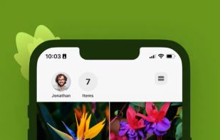 Leaf Identification screenshot 3