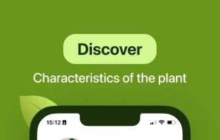 Leaf Identification screenshot 2