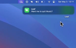 Leaf screenshot 1