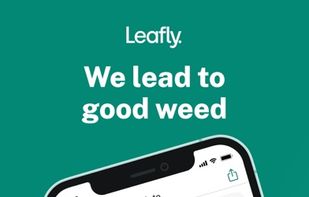 Leafly screenshot 1