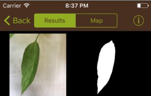 Leafsnap screenshot 1