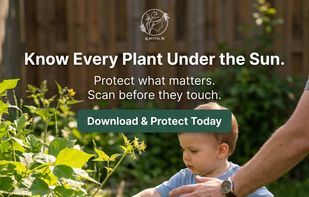 LeafStal screenshot 1