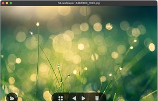 LeafView screenshot 1