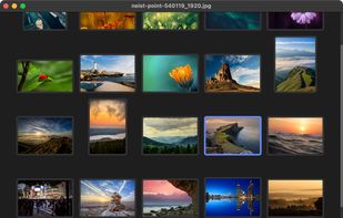 LeafView screenshot 1