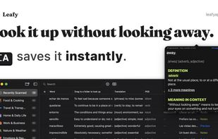 Leafy lets you look up any word instantly with a shortcut, and every lookup is saved to your library automatically."