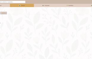 LeafyCRM Contact Details and Customized Look